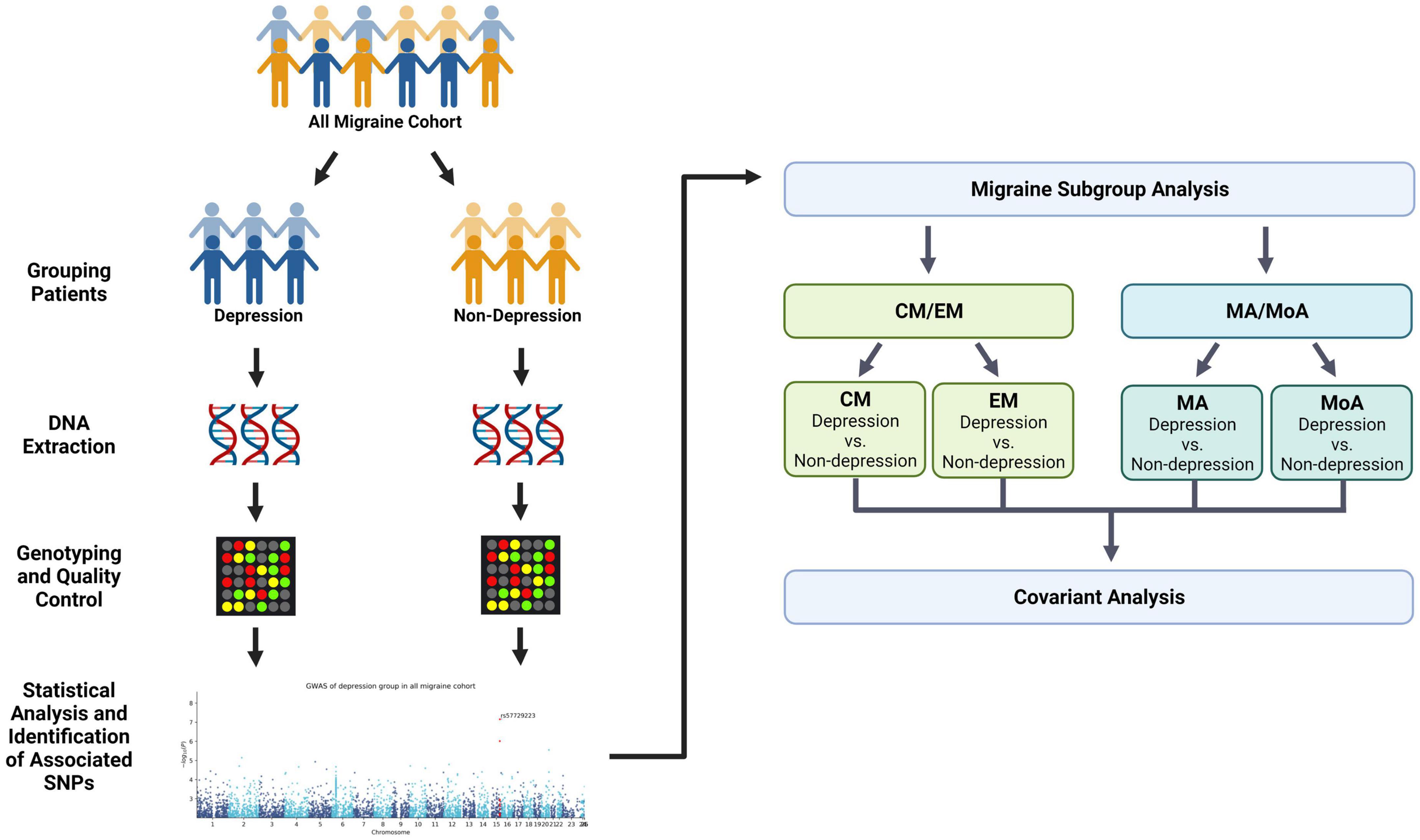 Identification of genetic risk loci for depression and migraine comorbidity in Han Chinese residing in Taiwan